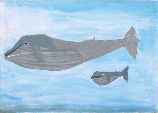 シロナガスクジラ