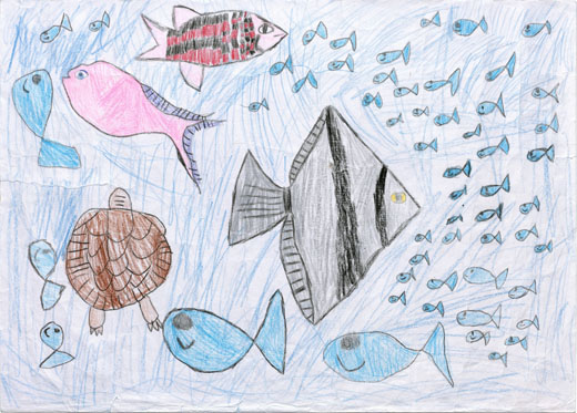 うみのいきもの