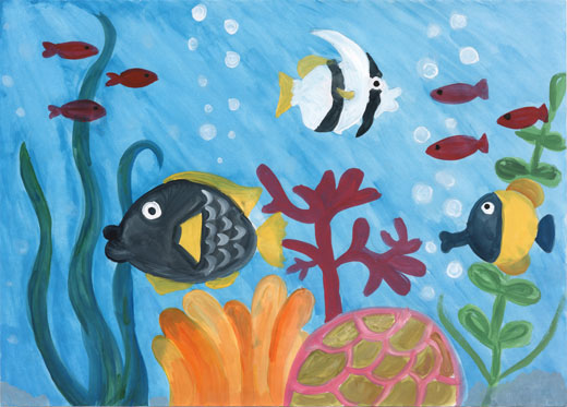 きれいな海の魚たち