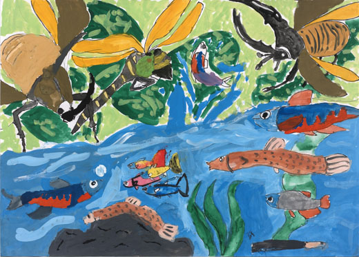 大切な水と生き物