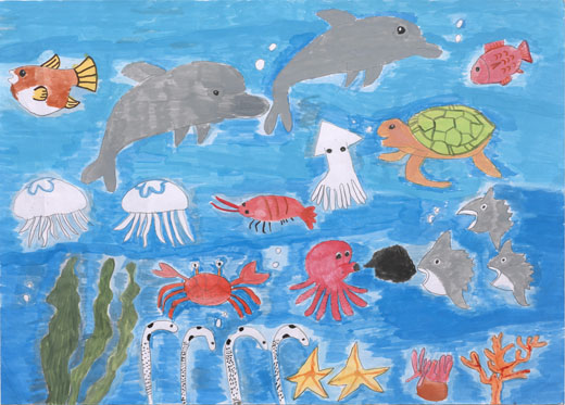 ゴミのないきれいな海