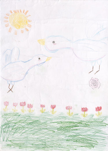 はくちょうのおやこ