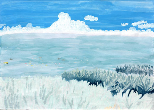 サンゴの育つ海