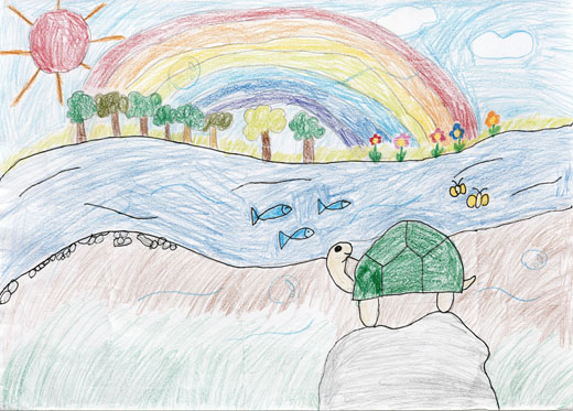 かめさんのひなたぼっこ