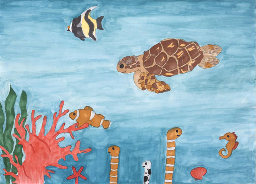 ゴミがないきれいな海