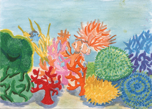 サンゴショーを守る