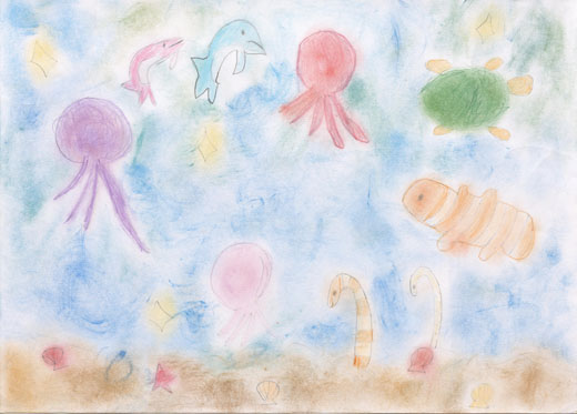 わたしと海のいきもの