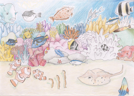 きれいな海の中