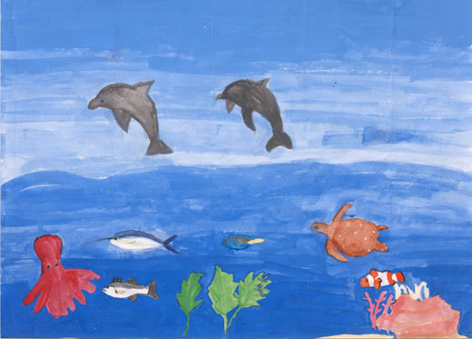 元気に泳ぐ魚たち