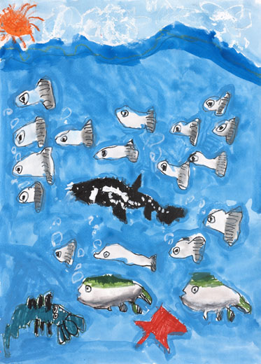 シロギスのむれがおよぐ海