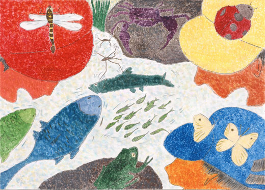 まもりたい川のいきものたち