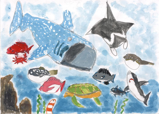 ぼくの好きな魚たちが泳ぐ海
