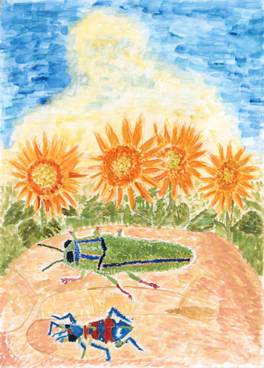 入道雲と原色の虫たち