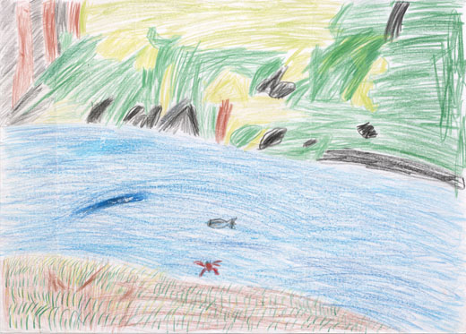 カニとアユがいる川