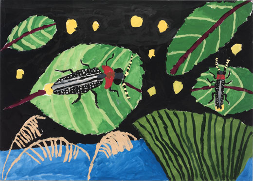 守りたいホタルがいる白瀬川