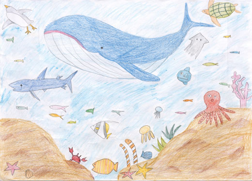 海のすてきな仲間たち
