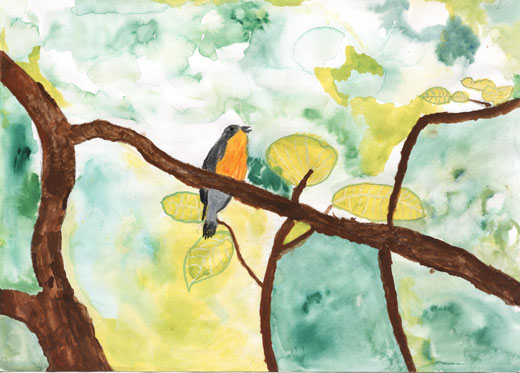 キビタキのすむ森