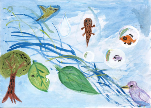 きれいな空気と水