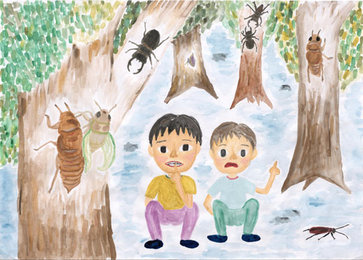 守りたい、昆虫のすみか