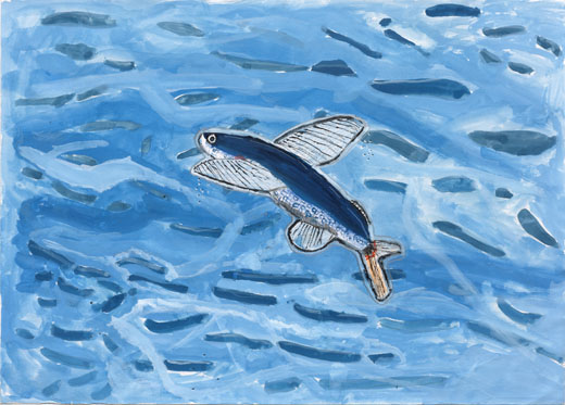 げんきなトビウオ