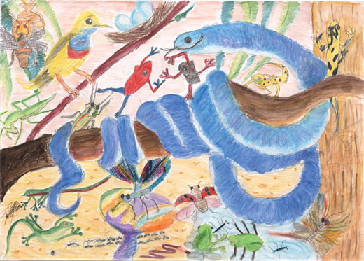 色とりどりの生き物たち