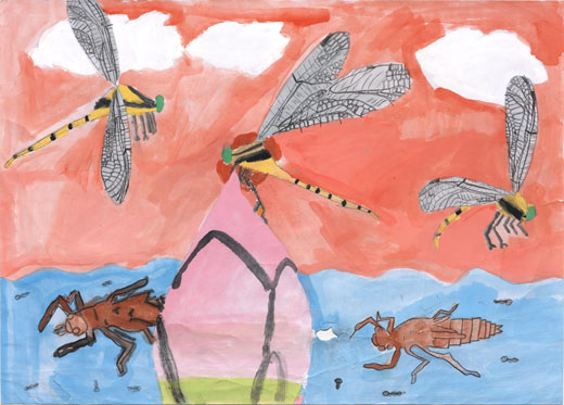 自然とオニヤンマ