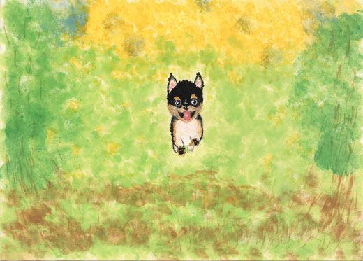 草原を走る愛犬