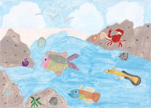 河川の生きものたち