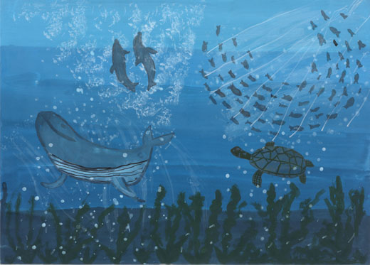 美しい海と生き物