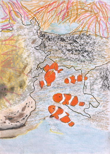 ずっと守っていきたいきれいな海