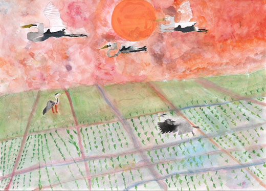 綺麗な空間で綺麗な鳥が飛ぶ