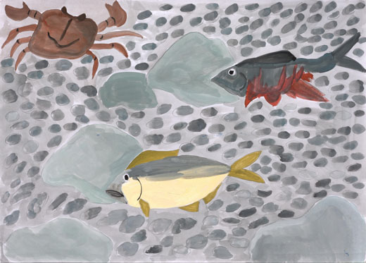 きれいな川と魚