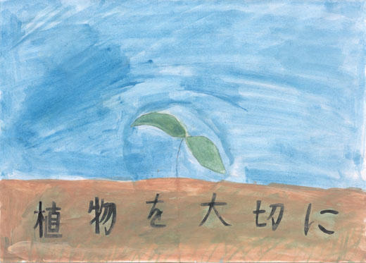 しょくぶつを大切に