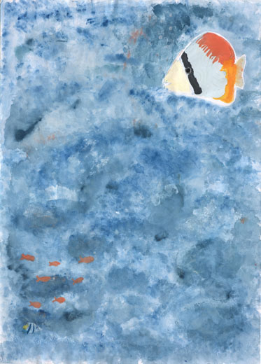 めざすはきれいな海