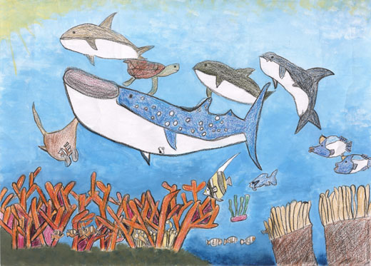 魚たちが暮らす海