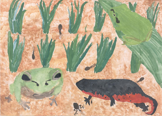 田んぼの生きもの