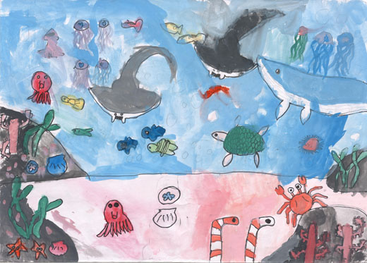 きれいな海の中