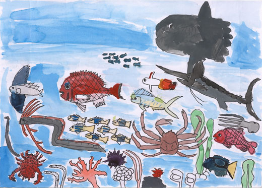 海の中の魚や生き物