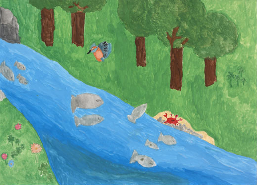 森の中のきれいな川