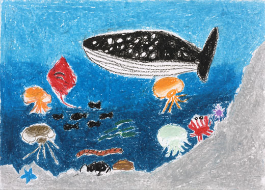 きれいな海を守ろう