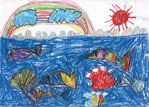 きれいなうみのいきもの