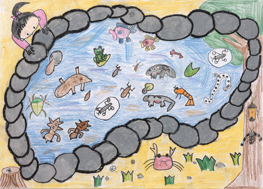 きれいないけのいきものたち