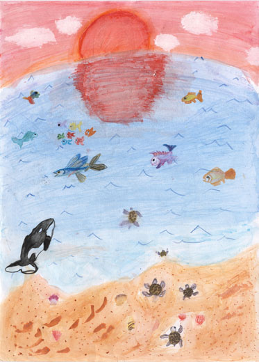 カメの赤ちゃんが見た夕日