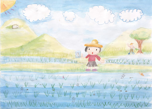 ミジンコのいる田んぼ