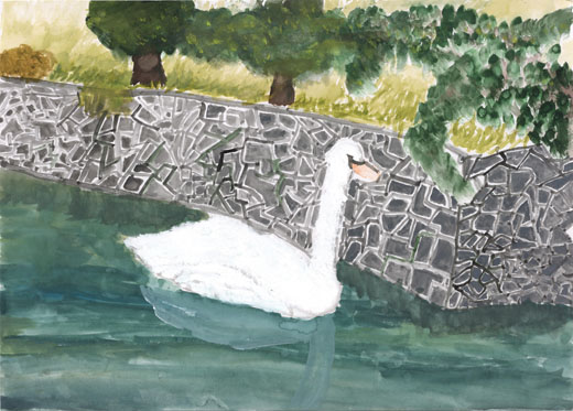 白鳥と水