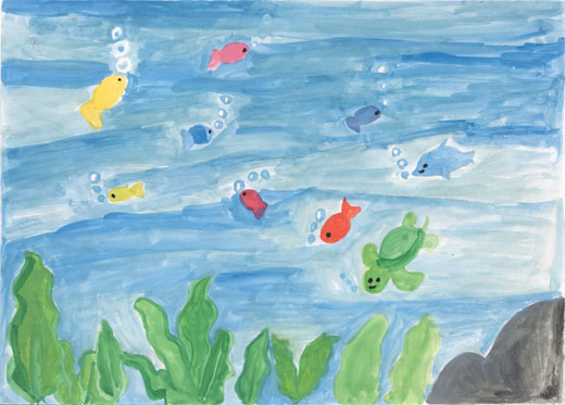 海の生き物たち