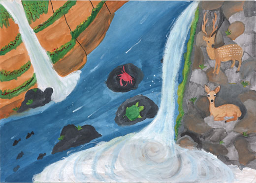 きれいな滝に集まる生き物たち