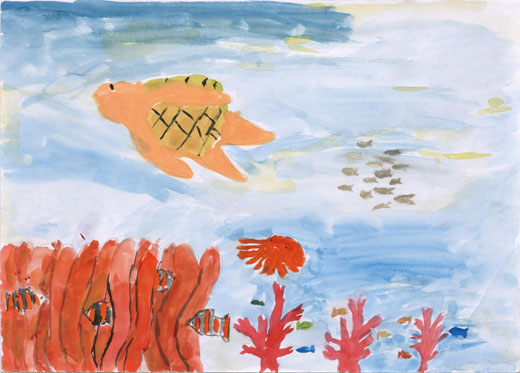 ゴミの無いきれいな海