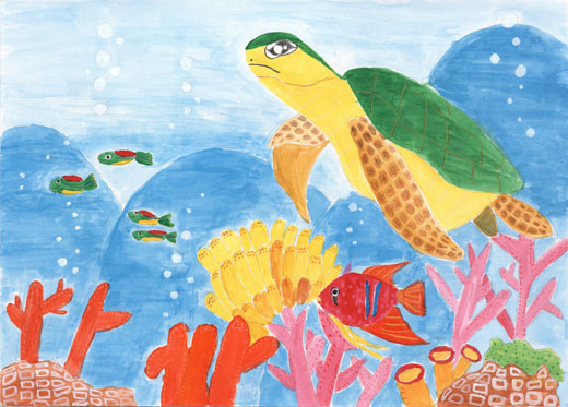 ウミガメと美しい海