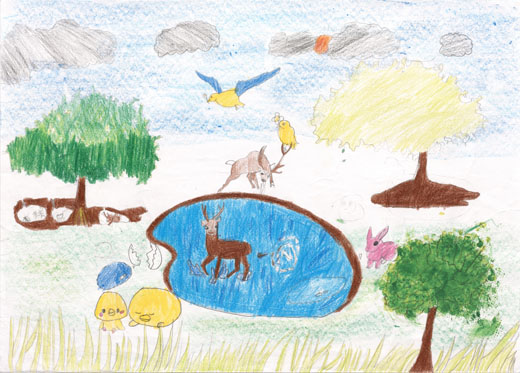 美しい自然ときれいな水